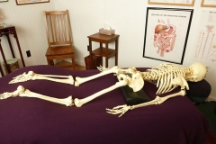 Mr. Bones on the massage table